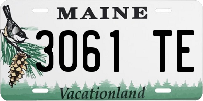 ME license plate 3061TE