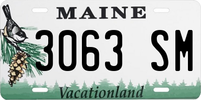 ME license plate 3063SM