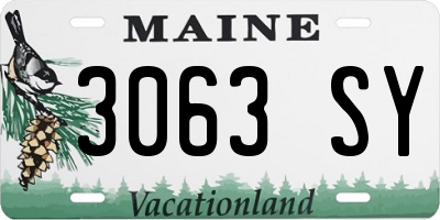 ME license plate 3063SY