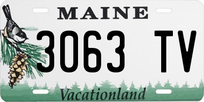 ME license plate 3063TV