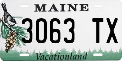 ME license plate 3063TX