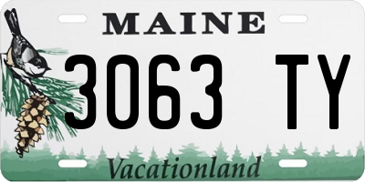 ME license plate 3063TY