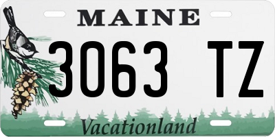 ME license plate 3063TZ