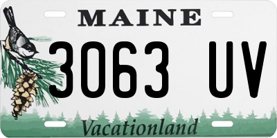 ME license plate 3063UV