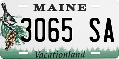 ME license plate 3065SA