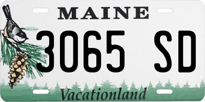 ME license plate 3065SD