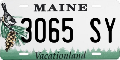 ME license plate 3065SY