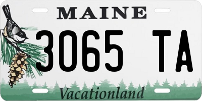 ME license plate 3065TA