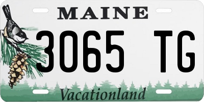 ME license plate 3065TG