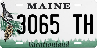 ME license plate 3065TH
