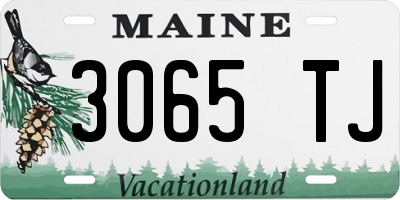 ME license plate 3065TJ