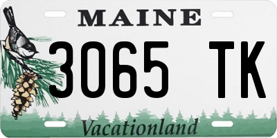 ME license plate 3065TK