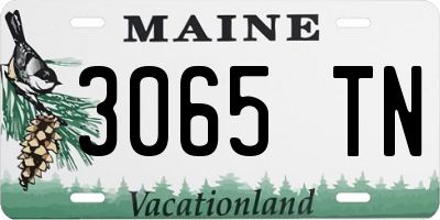 ME license plate 3065TN