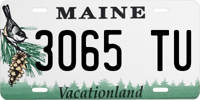 ME license plate 3065TU