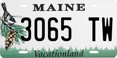 ME license plate 3065TW