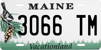 ME license plate 3066TM