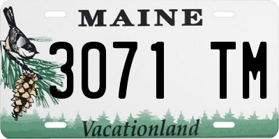 ME license plate 3071TM