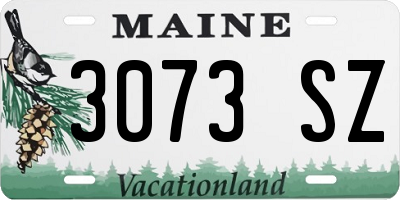 ME license plate 3073SZ