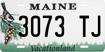 ME license plate 3073TJ