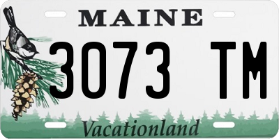 ME license plate 3073TM