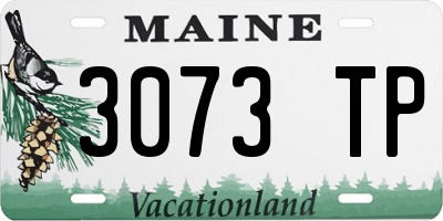 ME license plate 3073TP