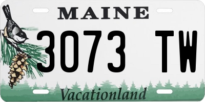 ME license plate 3073TW