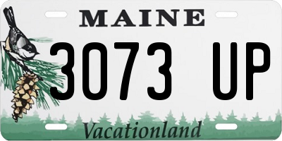 ME license plate 3073UP