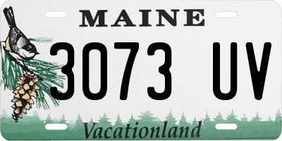 ME license plate 3073UV
