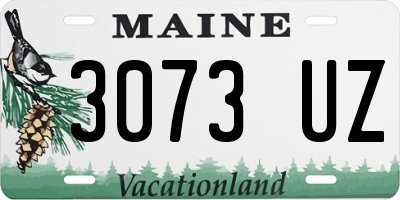 ME license plate 3073UZ