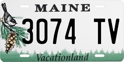 ME license plate 3074TV