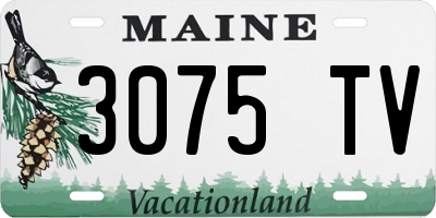 ME license plate 3075TV