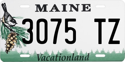 ME license plate 3075TZ