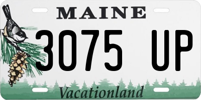 ME license plate 3075UP
