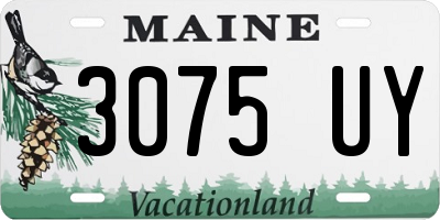 ME license plate 3075UY