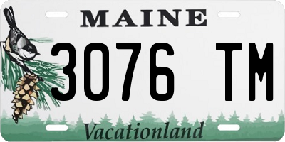 ME license plate 3076TM