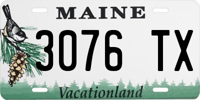 ME license plate 3076TX