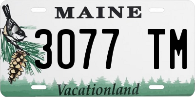 ME license plate 3077TM