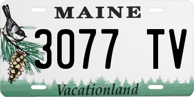 ME license plate 3077TV