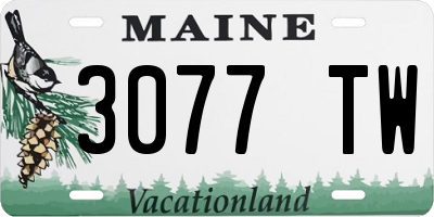ME license plate 3077TW