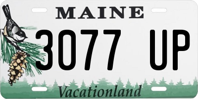 ME license plate 3077UP