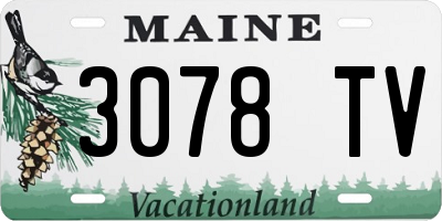 ME license plate 3078TV