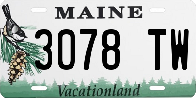 ME license plate 3078TW