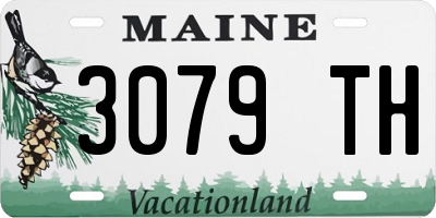 ME license plate 3079TH