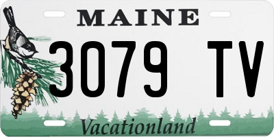 ME license plate 3079TV