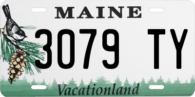 ME license plate 3079TY