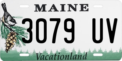 ME license plate 3079UV