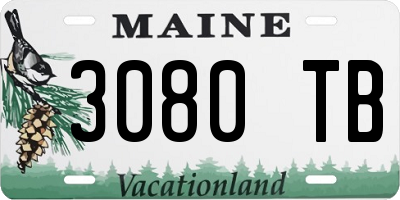 ME license plate 3080TB
