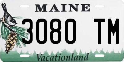 ME license plate 3080TM