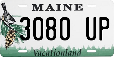 ME license plate 3080UP