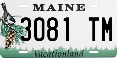 ME license plate 3081TM